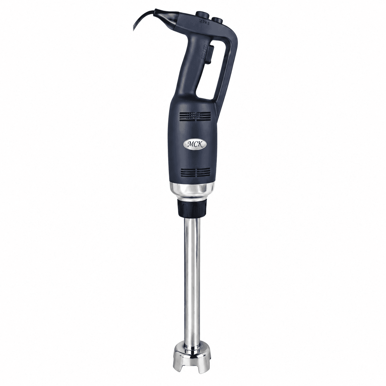 Immersion Blender
